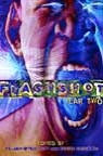 flashshot2