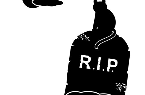 Tombstone cat