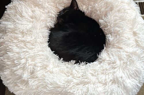 Pepper in a doughnut